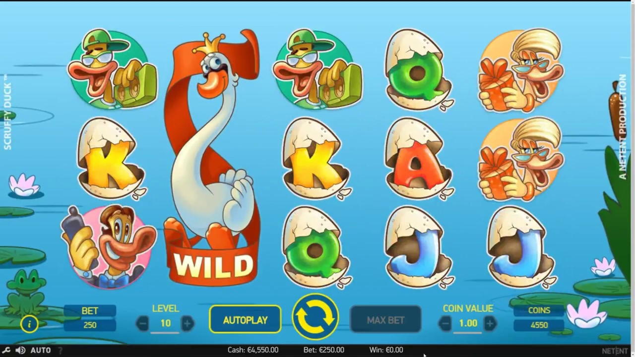 495% Best Signup Bonus Casino at Royal Panda Casino