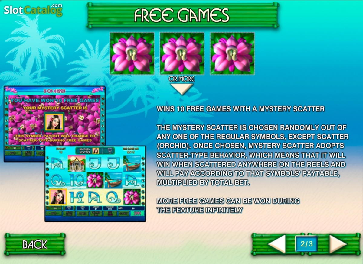 $250 Casino Tournament at Mr. Win Casino