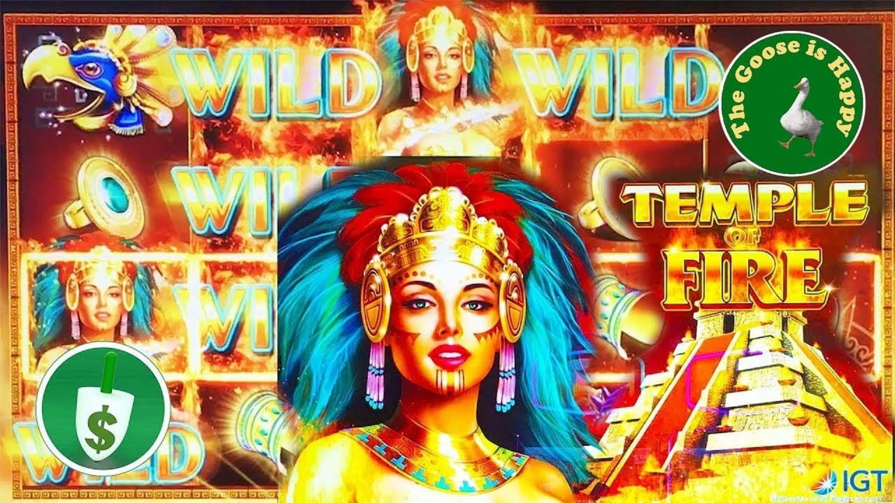 ﻿$235 Tournament at Leo Dubai Casino