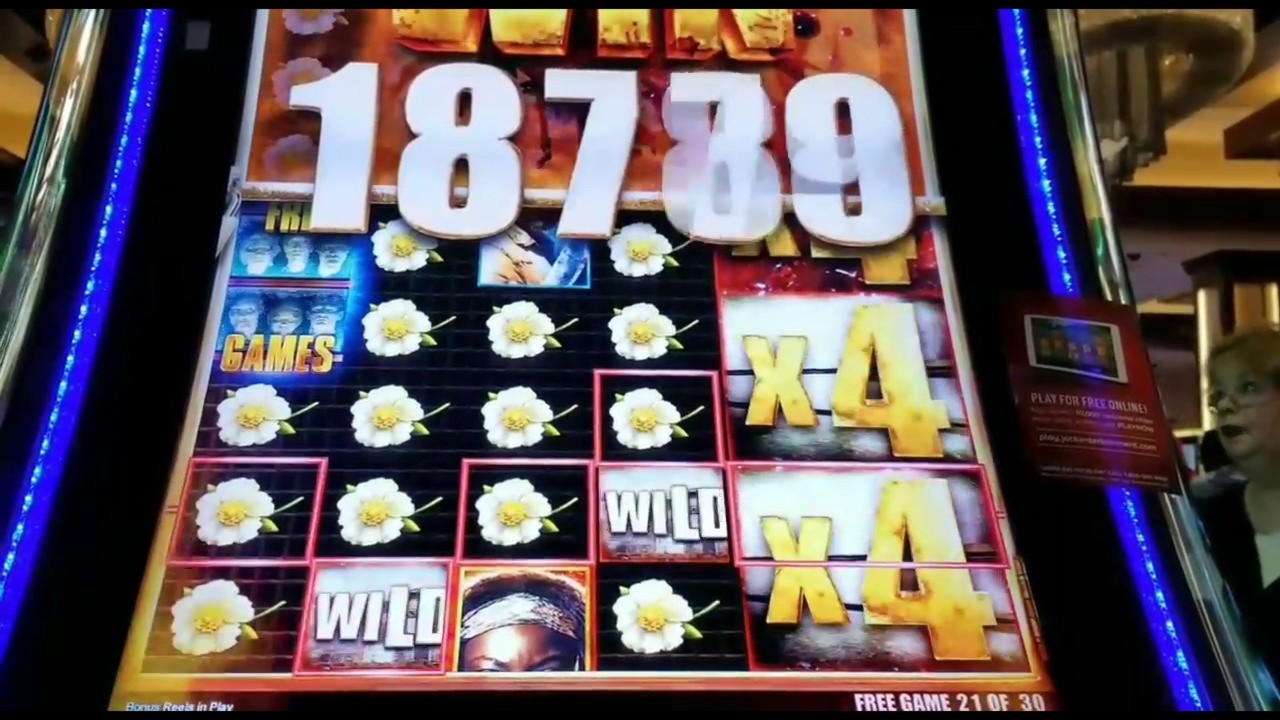 ﻿$4145 NO DEPOSIT BONUS at Super Lines Casino