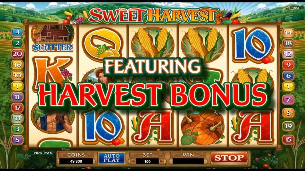 €4325 No Deposit Casino Bonus at Leo Dubai Casino