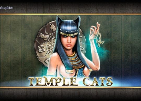 $2965 NO DEPOSIT BONUS at Mr. Win Casino