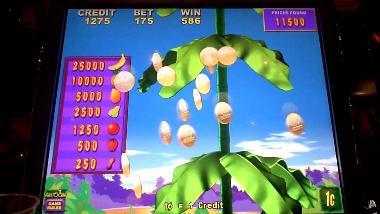 €935 Daily freeroll slot tournament at Mega Casino