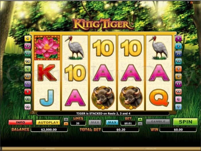 $3135 NO DEPOSIT BONUS CODE at Ikibu Casino