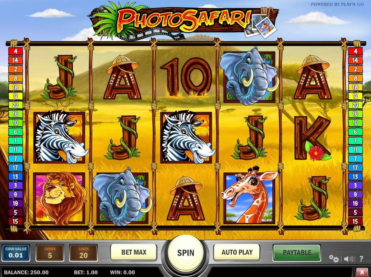 50% Deposit match bonus at Royal Panda Casino