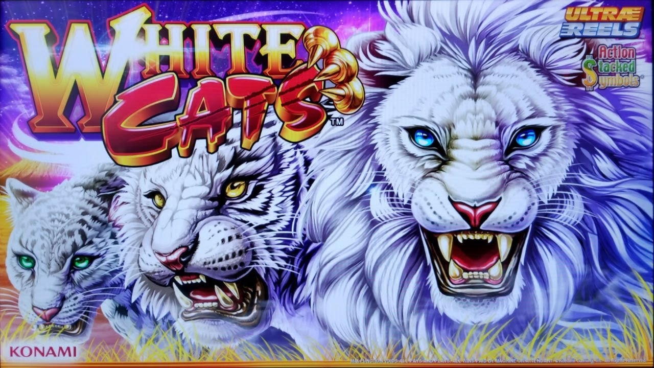 €95 Online Casino Tournament at Casino-X