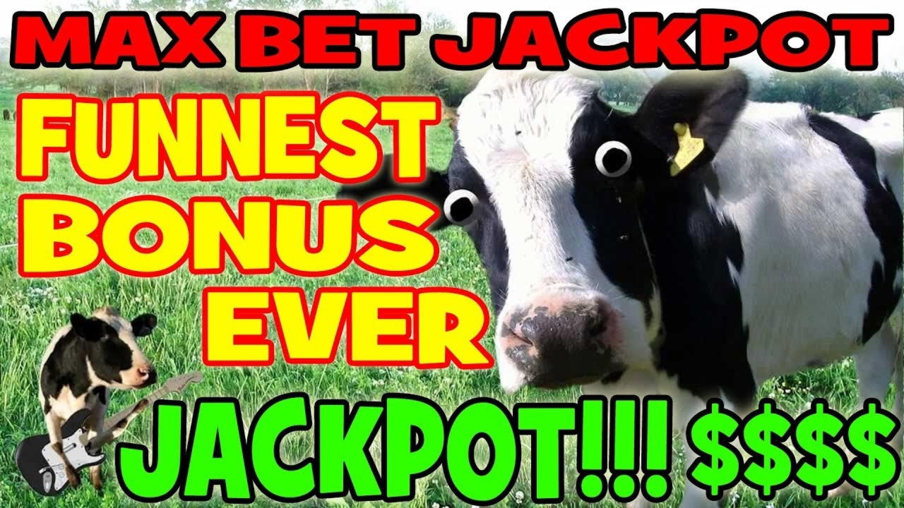 605% First deposit bonus at bWin Casino
