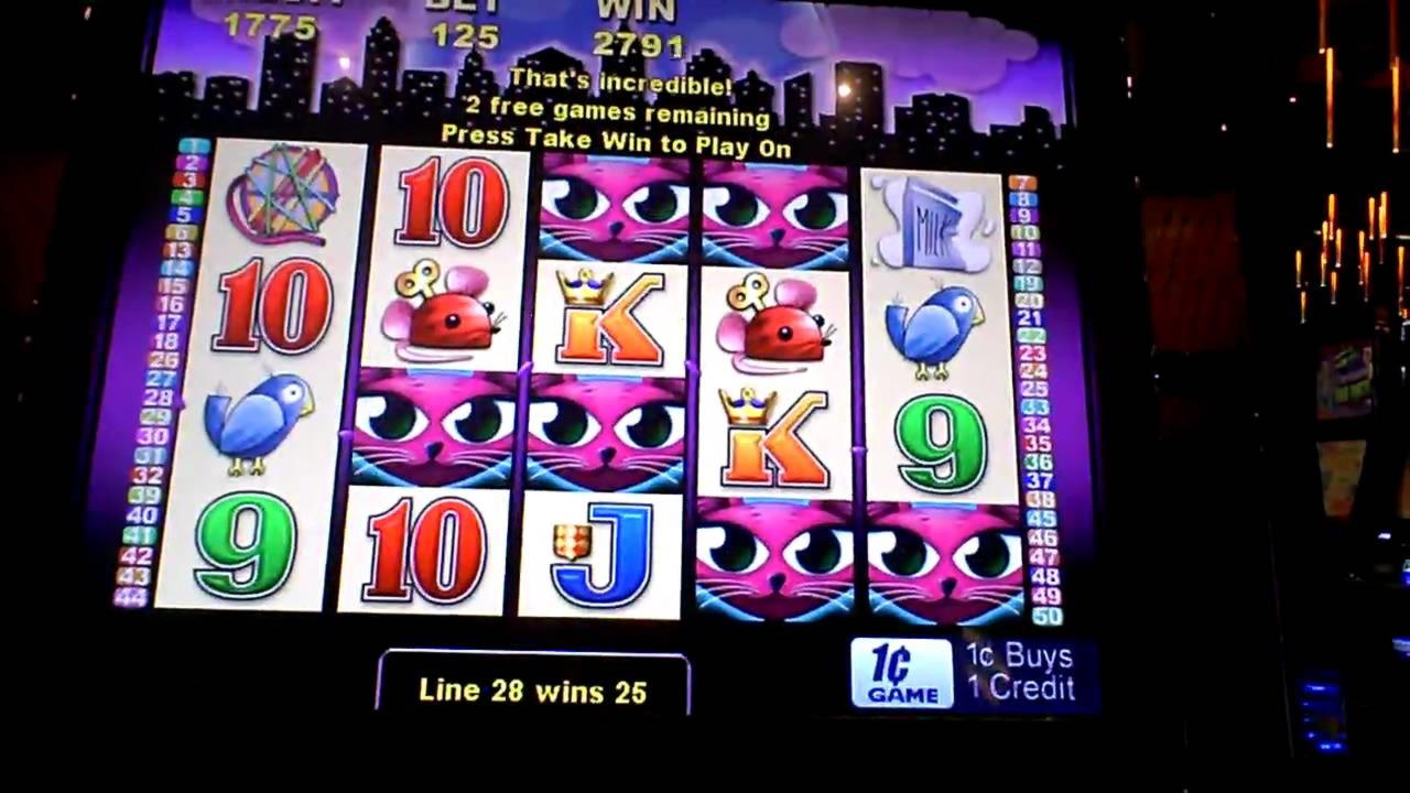 €330 NO DEPOSIT CASINO BONUS at Mr. Win Casino