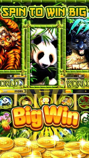 340% Match bonus at bWin Casino