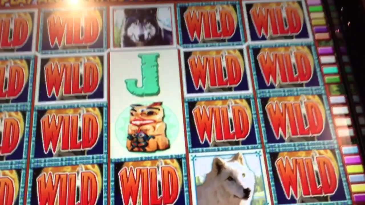 185 Loyalty Free Spins! at Net Bet Casino