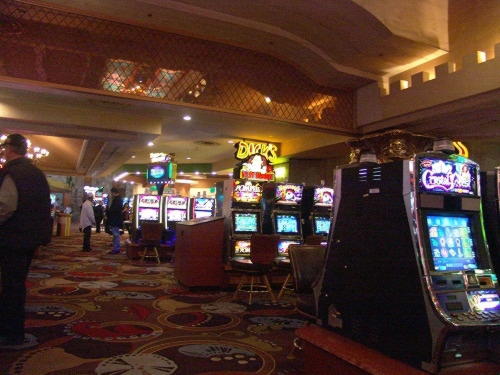 77 free spins no deposit casino at Mega Casino