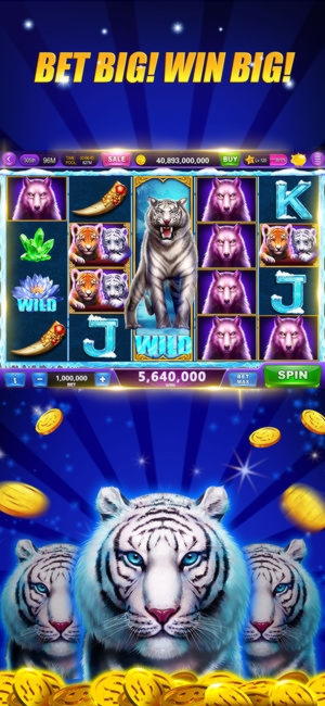180 Free Spins right now at Leo Dubai Casino