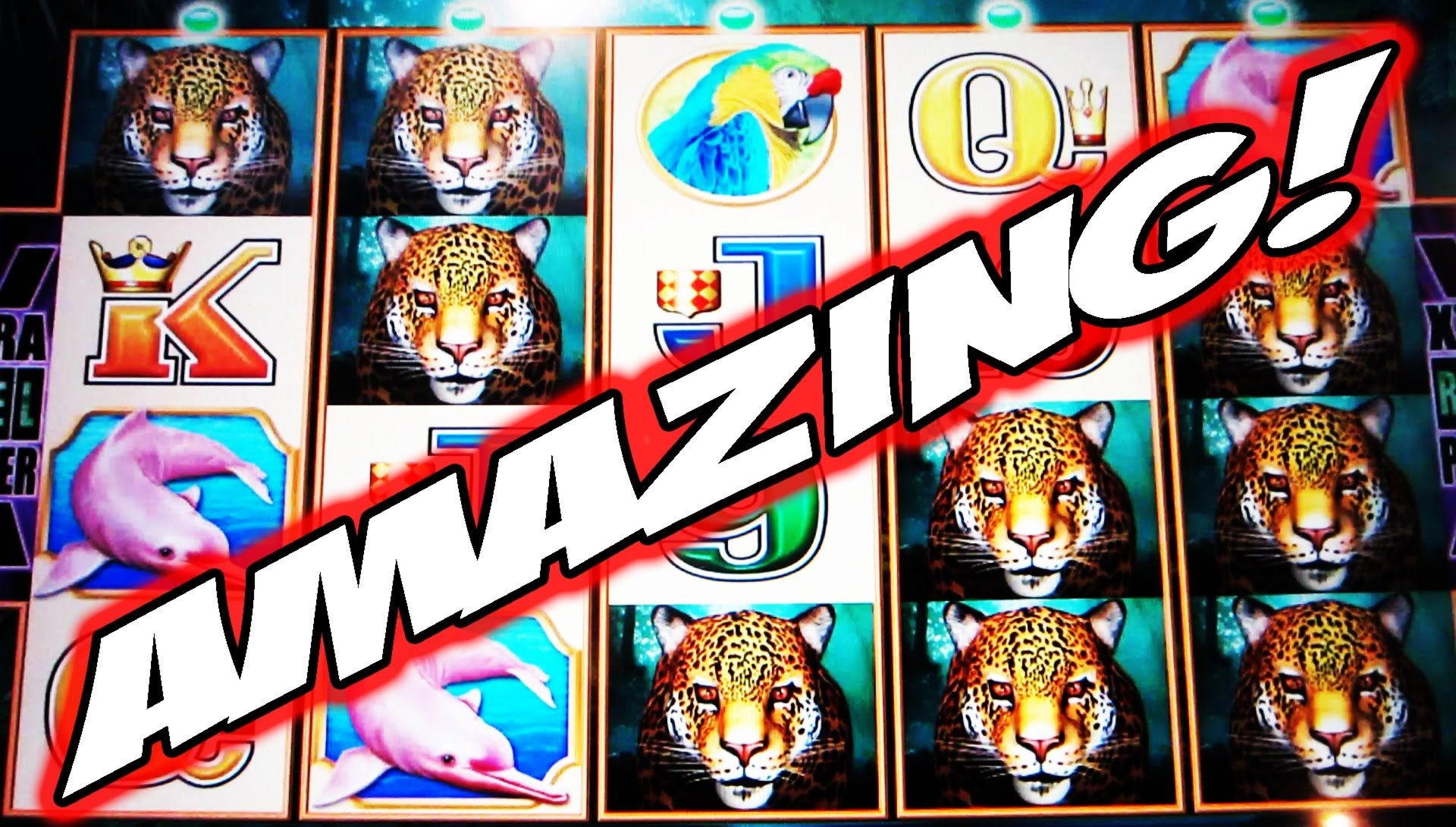 $3333 no deposit bonus code at Net Bet Casino