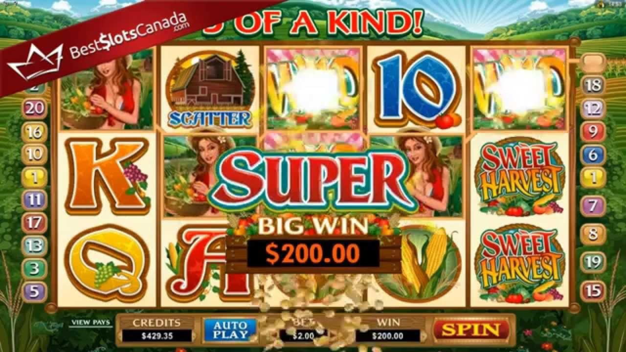 €4620 NO DEPOSIT BONUS CODE at King Billy Casino
