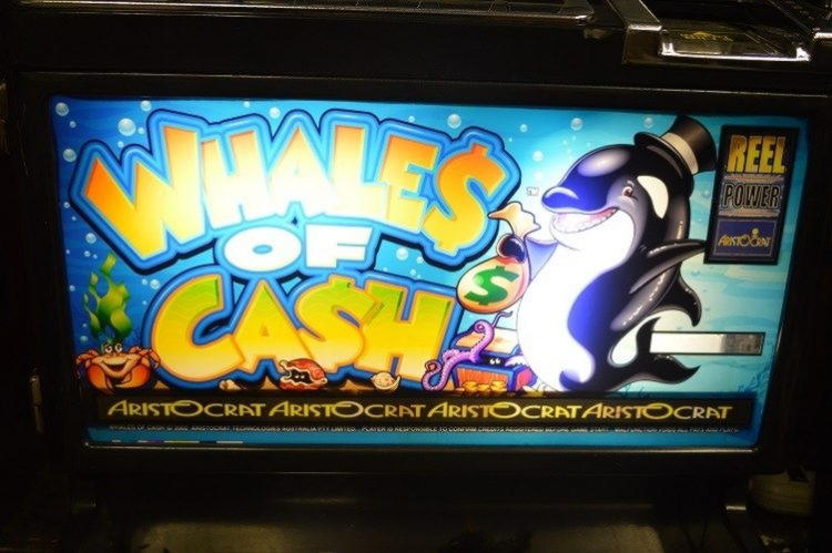 630% Deposit Match Bonus at King Billy Casino