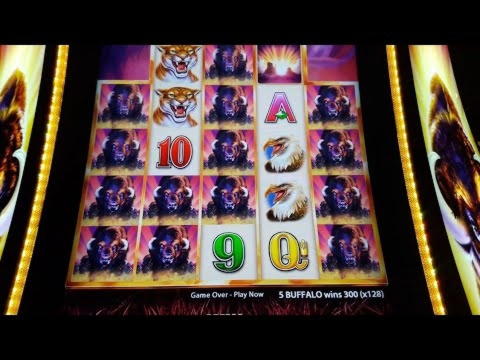 245 free spins casino at Genesis Casino