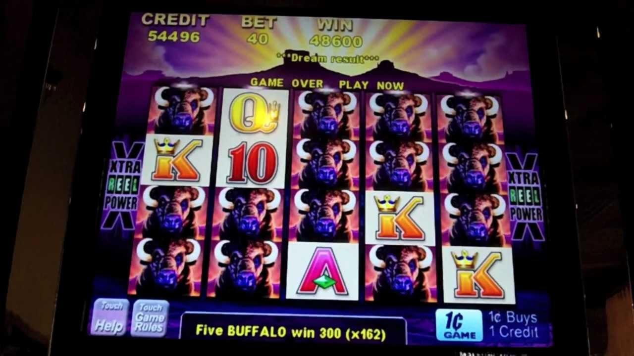 $575 Casino Tournament at Genesis Casino