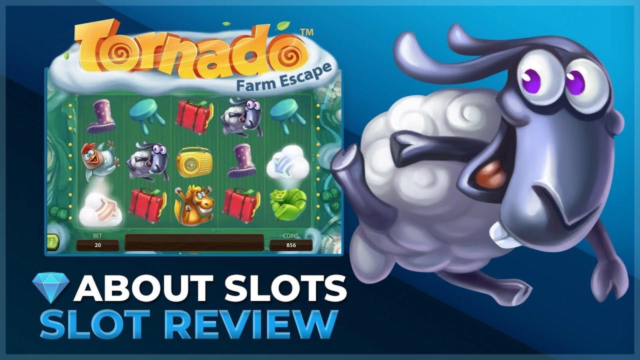 60 free spins casino at Rizk Casino