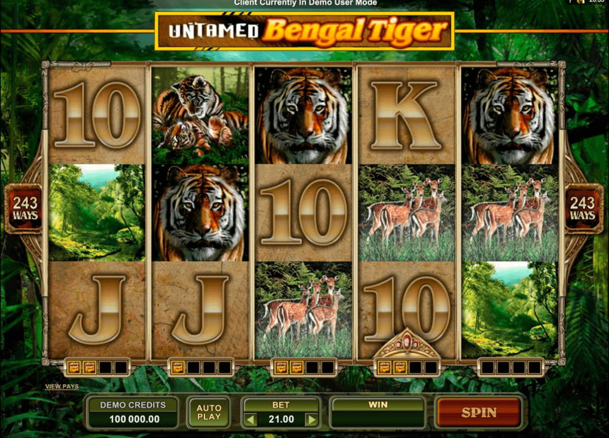 €444 Daily freeroll slot tournament at Come On Casino