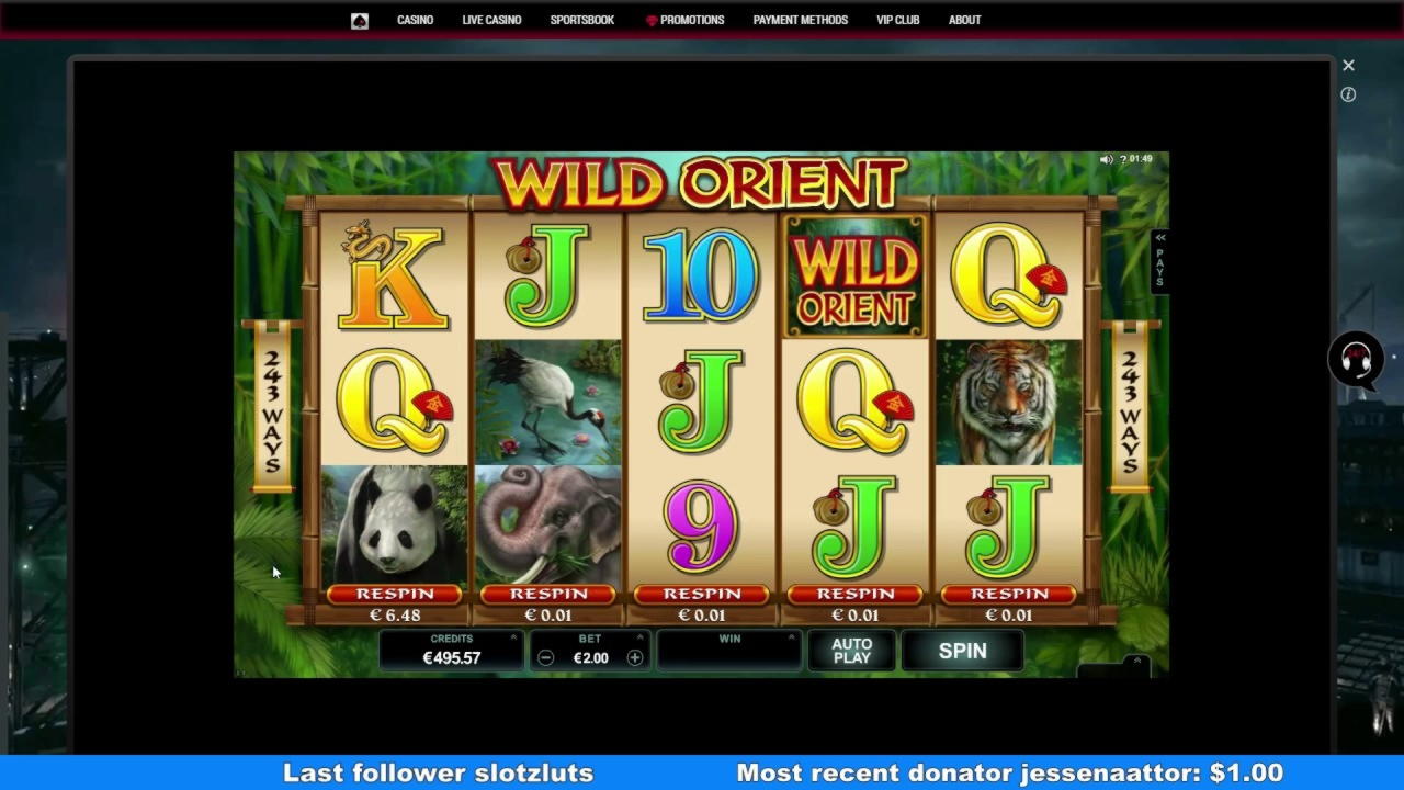 £260 Casino tournaments freeroll at Ikibu Casino