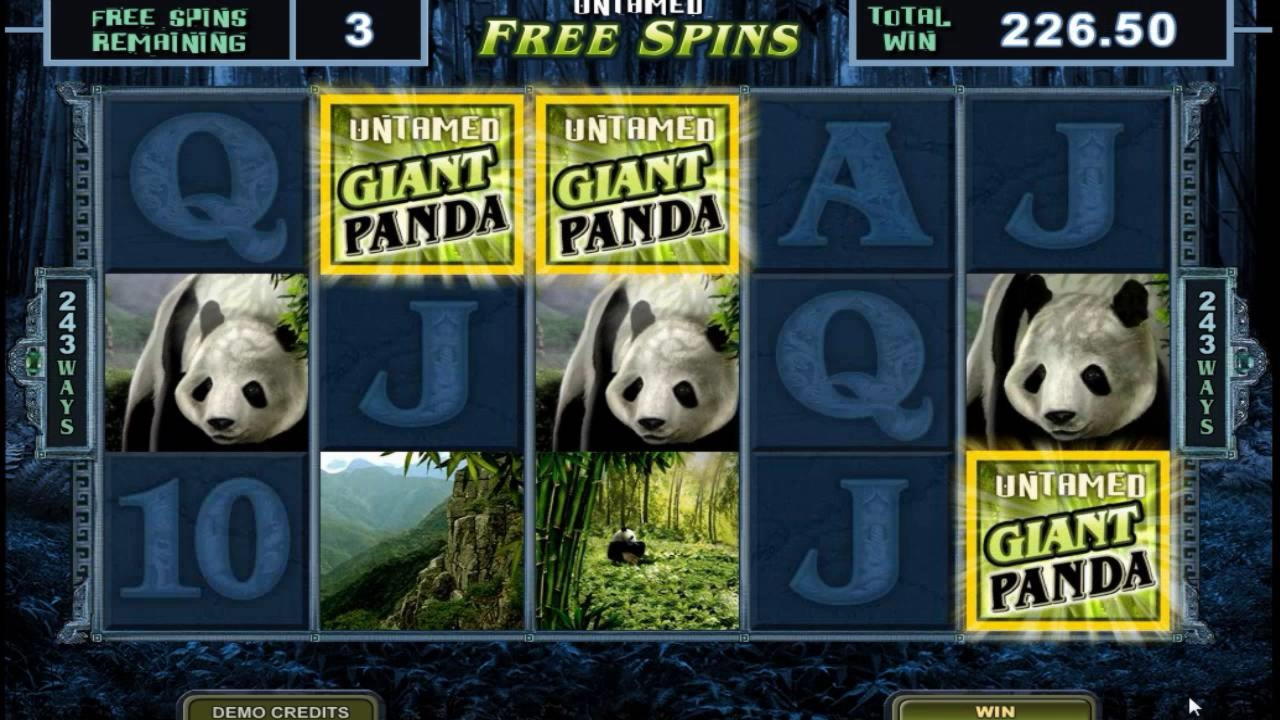 $830 Daily freeroll slot tournament at Casino Heroes