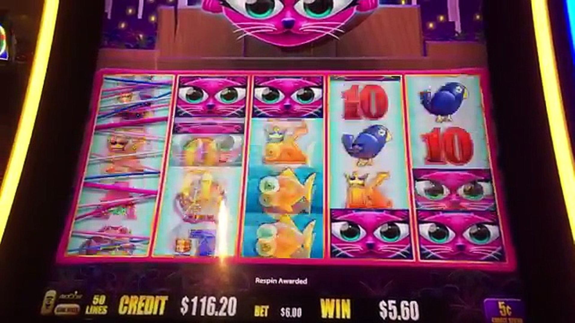 EURO 895 Casino tournaments freeroll at LV Bet Casino