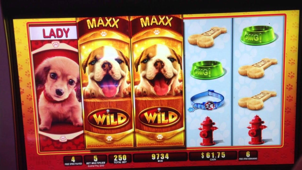 55% Match Bonus Casino at Mr. Win Casino