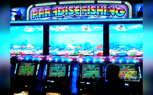 195 Loyal Free Spins! at Rizk Casino