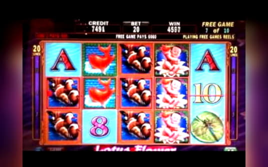 100 Free Spins Casino at LV Bet Casino