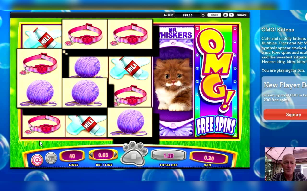 255 free spins at Royal Panda Casino