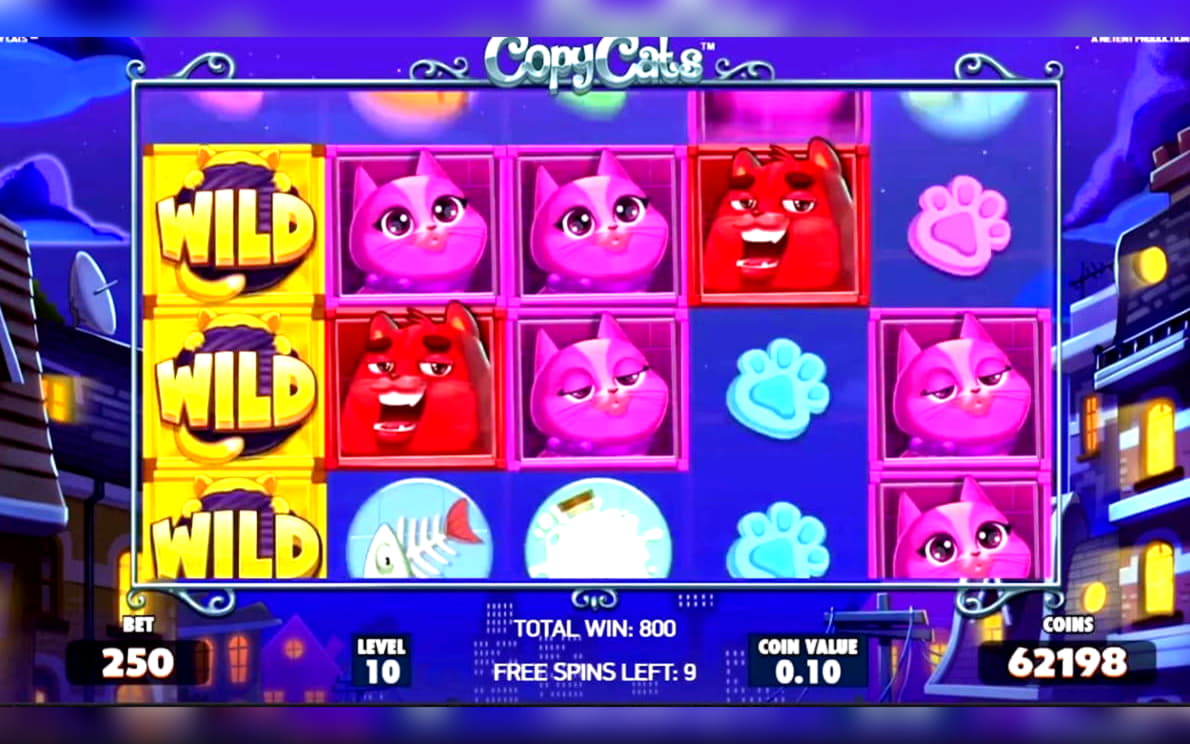 $535 Tournament at Mr. Win Casino