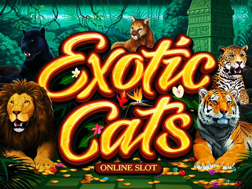 ﻿$625 FREE Chip Casino at Bet At Home Casino
