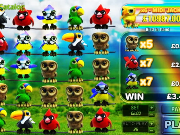 €500 Casino chip at Fruity Casa Casino