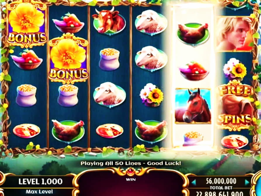 Eur 295 casino chip at Spinland Casino