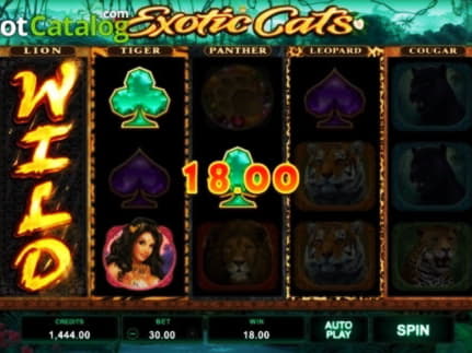 £610 Free Money at BGO Casino