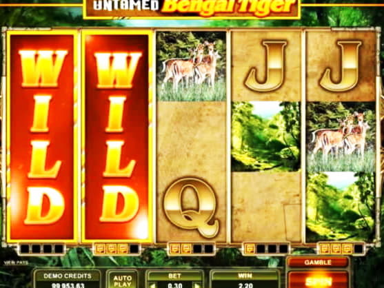 £530 Mobile freeroll slot tournament at Net Bet Casino