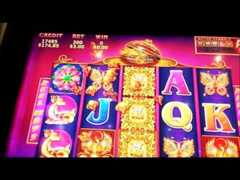 145 Trial Spins at BGO Casino