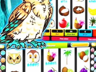 ﻿$555 Casino tournaments freeroll at Spin Palace Casino