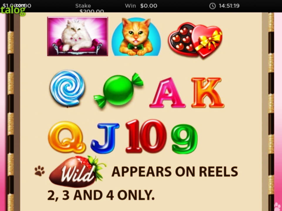 ﻿$775 Daily freeroll slot tournament at Net Bet Casino