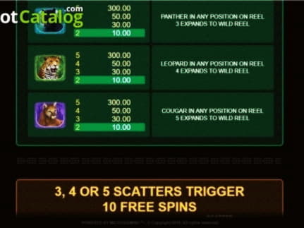 110% Match at a Casino at LV Bet Casino
