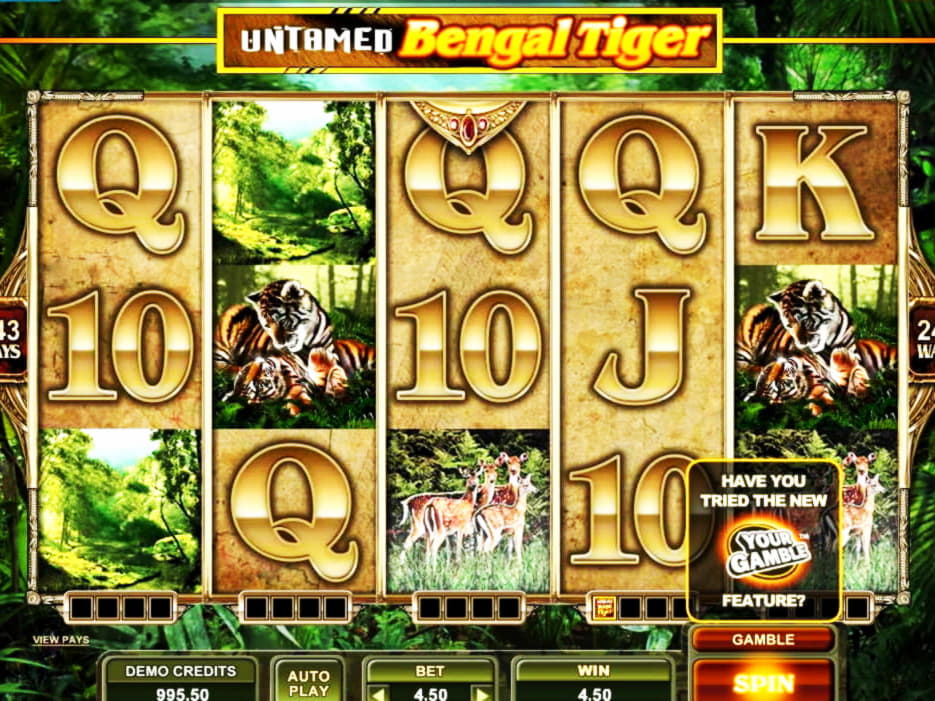 €250 Free Chip at Joy Casino