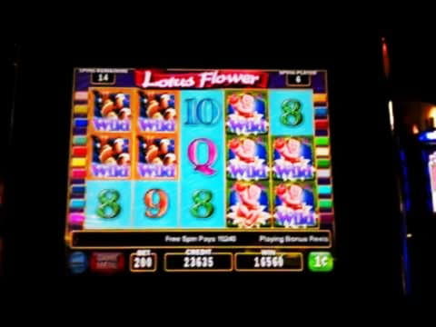 Eur 935 Casino Tournament at Net Bet Casino
