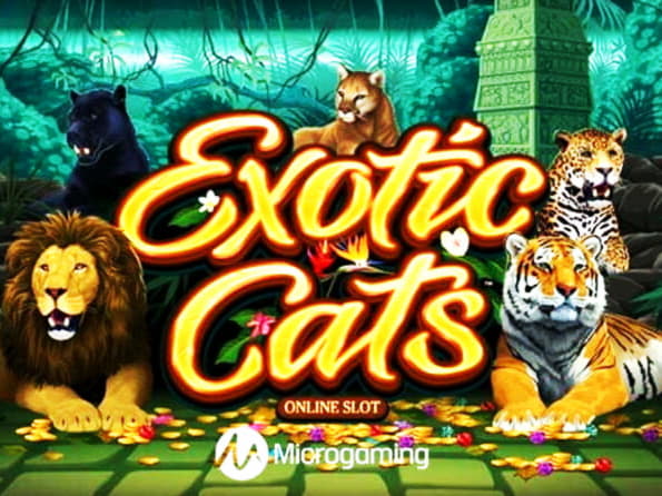 EURO 415 No Deposit Bonus Code at LV Bet Casino