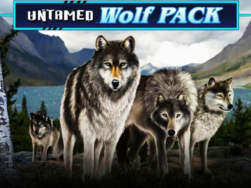 625% Deposit Match Bonus at Come On Casino