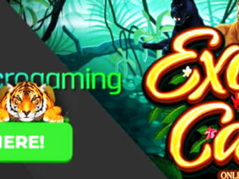 585% Casino match bonus at Rizk Casino