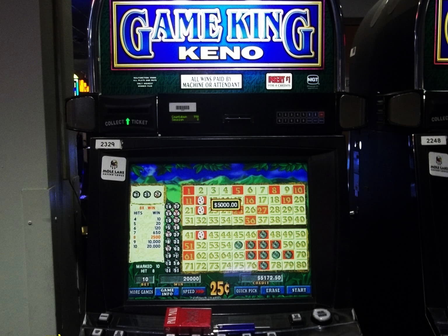 195 free spins at Genesis Casino