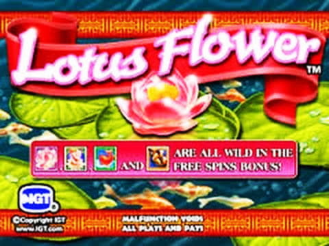 EUR 850 Mobile freeroll slot tournament at Party Casino