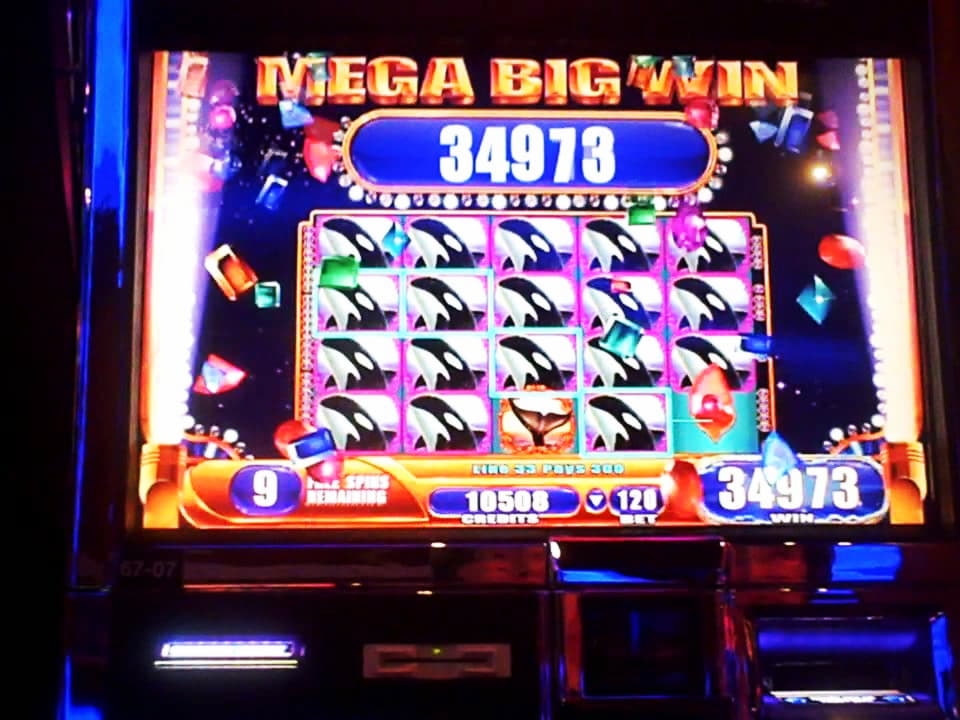 $420 Daily freeroll slot tournament at Fruity Casa Casino