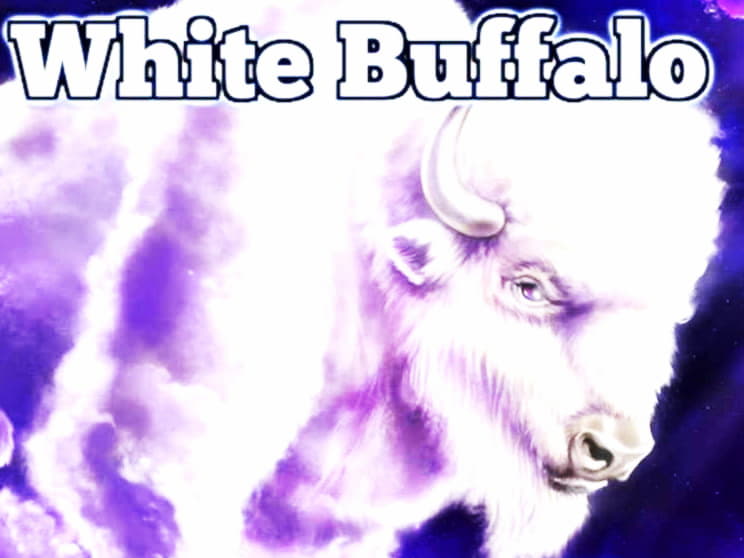 985% No Rules Bonus! at Net Bet Casino