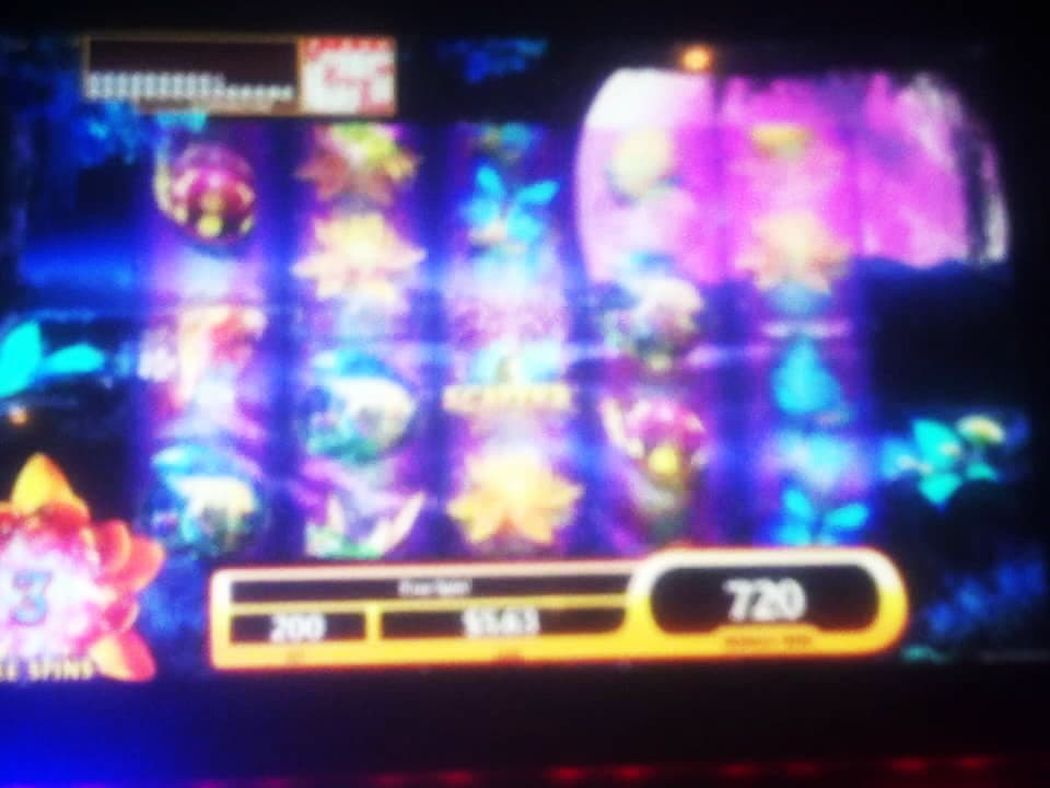 30 free spins casino at Mr. Win Casino